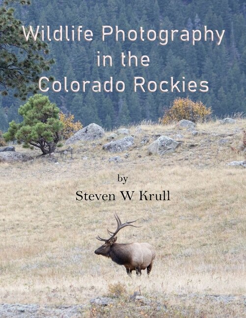 Wildlife Photography in the Colorado Rockies: Where and How to Find and Photograph Wildlife