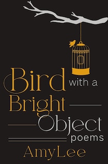 Front cover_Bird with a Bright Object