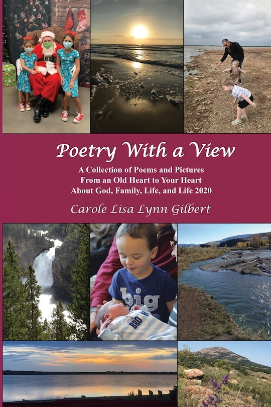 Couverture_Poetry With a View