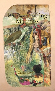 Front cover_Understanding Madness