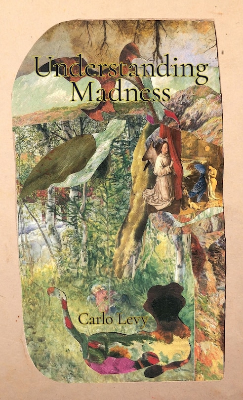 Front cover_Understanding Madness