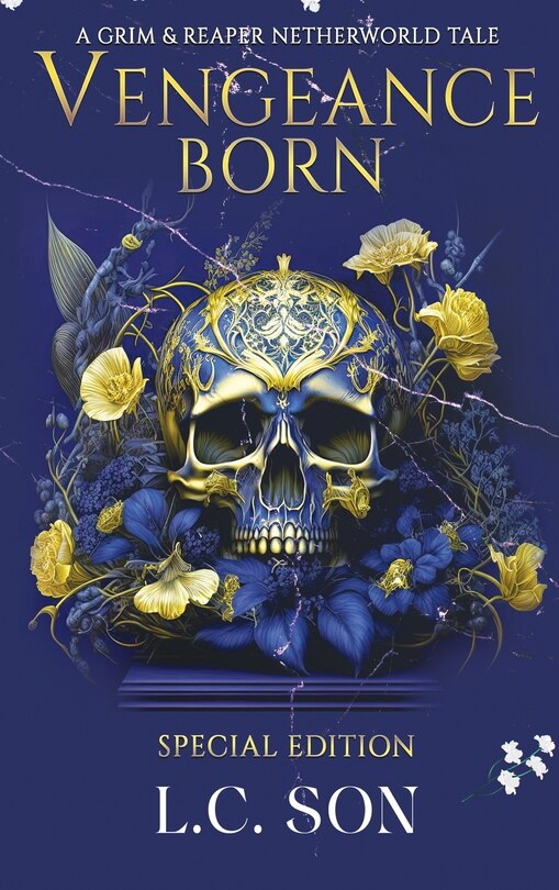 Front cover_Vengeance Born