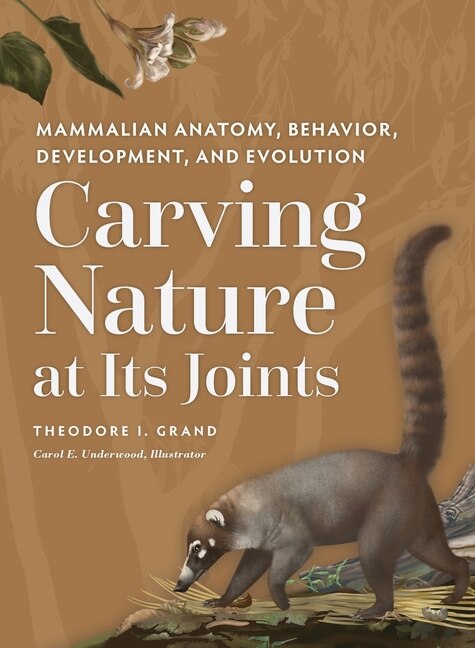 Couverture_Carving Nature at Its Joints