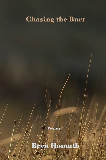 Couverture_Chasing the Burr