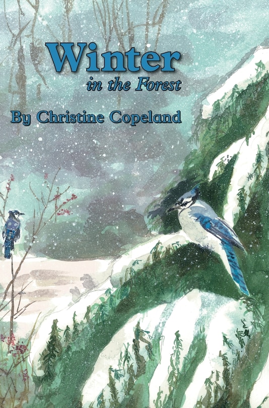 Front cover_Winter in the Forest