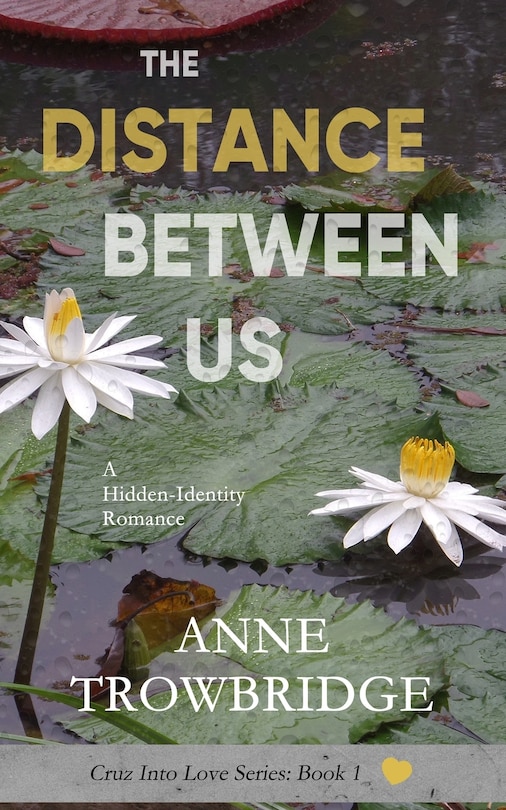 Front cover_The Distance Between Us