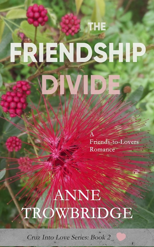Couverture_The Friendship Divide