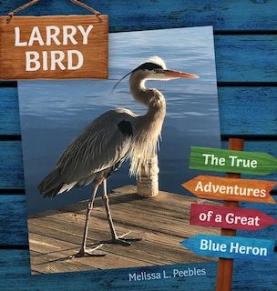Front cover_Larry Bird