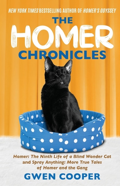 Front cover_The Homer Chronicles