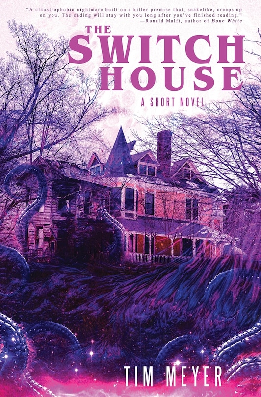 Front cover_The Switch House