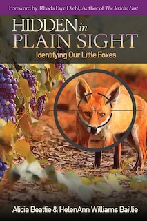 Front cover_Hidden in Plain Sight