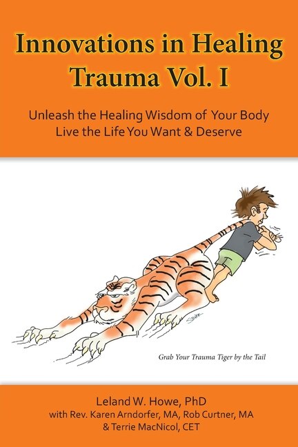 Front cover_Innovations in Healing Trauma Vol. I