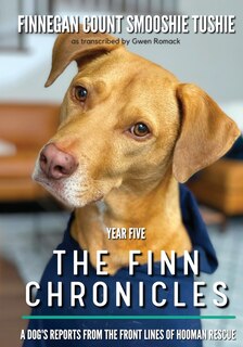 Couverture_The Finn Chronicles