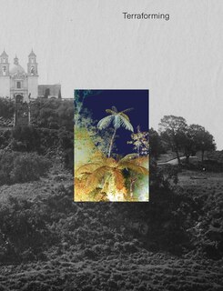 Front cover_Terraforming: Olana's Historic Photography Collection Unearthed