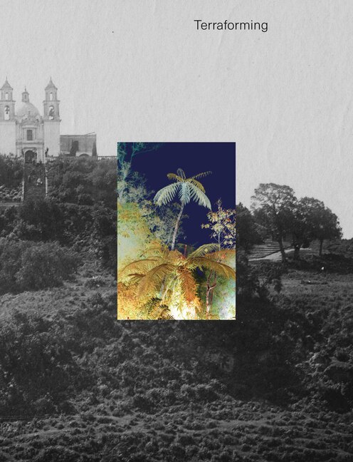 Front cover_Terraforming: Olana's Historic Photography Collection Unearthed