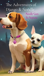 Couverture_The Adventures of Django & Noodle
