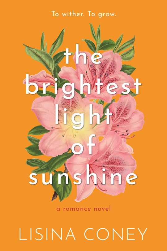 Front cover_Brightest Light of Sunshine