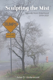 Couverture_Sculpting the Mist