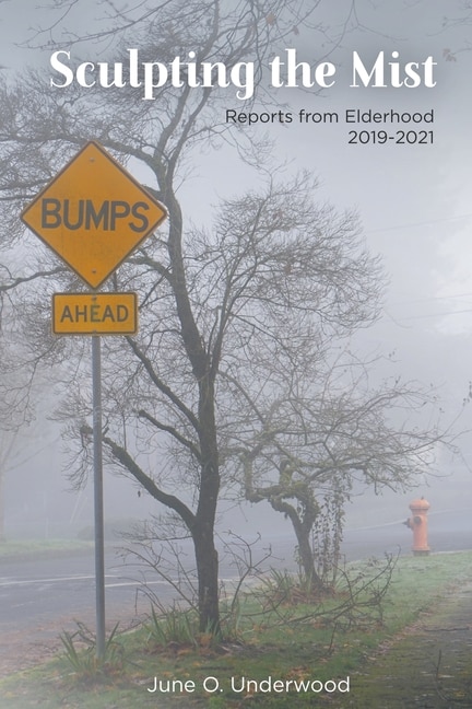 Couverture_Sculpting the Mist