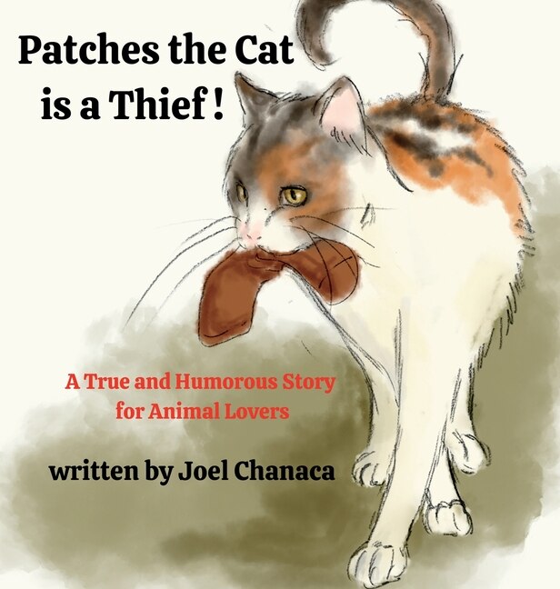 Front cover_Patches The Cat is a Thief !