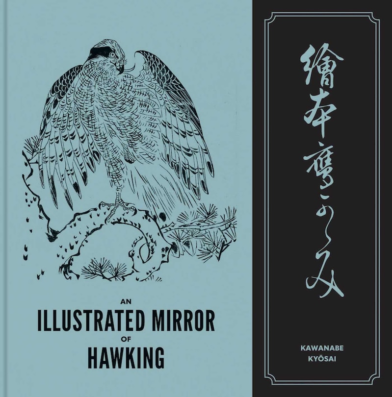Couverture_An Illustrated Mirror of Hawking