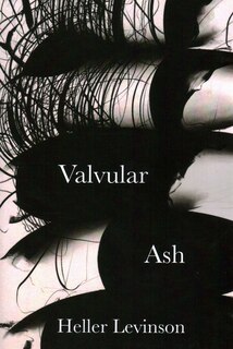 Couverture_Valvular Ash