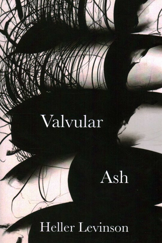 Couverture_Valvular Ash