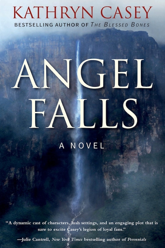Front cover_Angel Falls