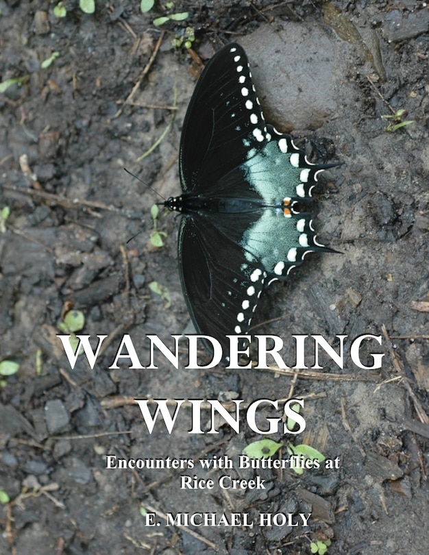 Front cover_Wandering Wings