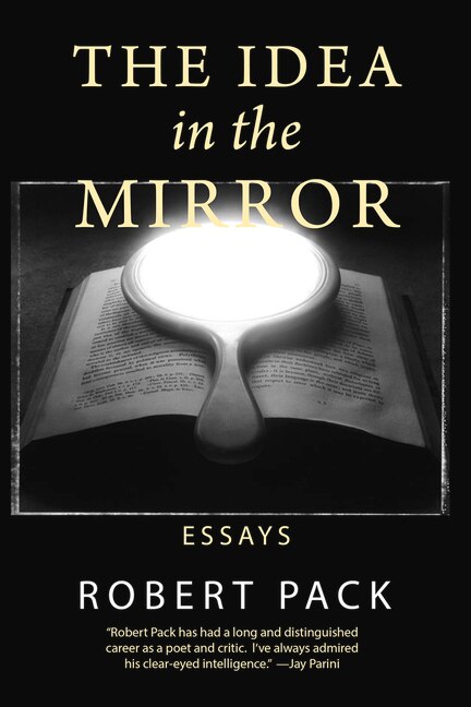 Couverture_The Idea in the Mirror