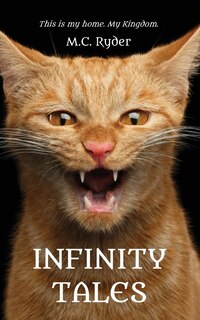 Front cover_Infinity Tales
