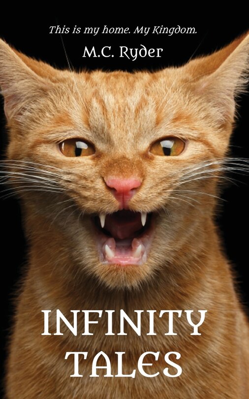 Front cover_Infinity Tales