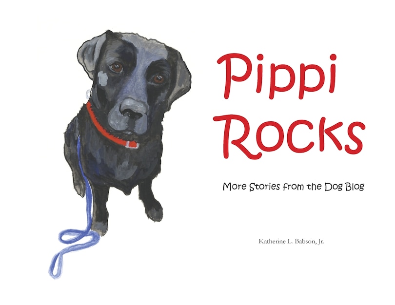 Front cover_Pippi Rocks