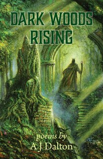 Couverture_Dark Woods Rising