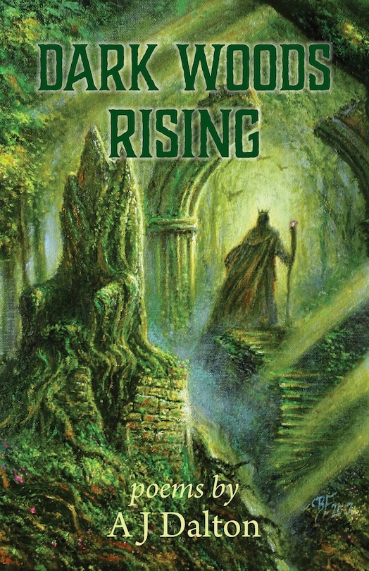 Couverture_Dark Woods Rising
