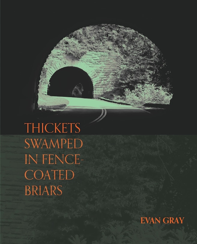 Couverture_Thickets Swamped in Fence-Coated Briars