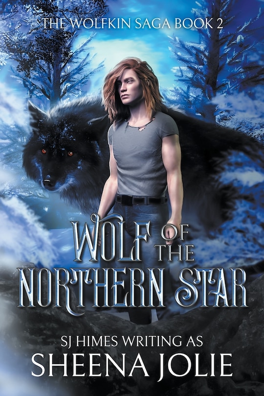 Couverture_Wolf of the Northern Star