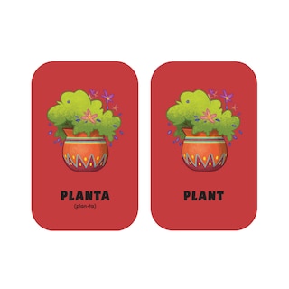 Aper&ccedil;u du contenu 2_Rosie's Rules: Minilingo Spanish / English Flashcards - Basic Words