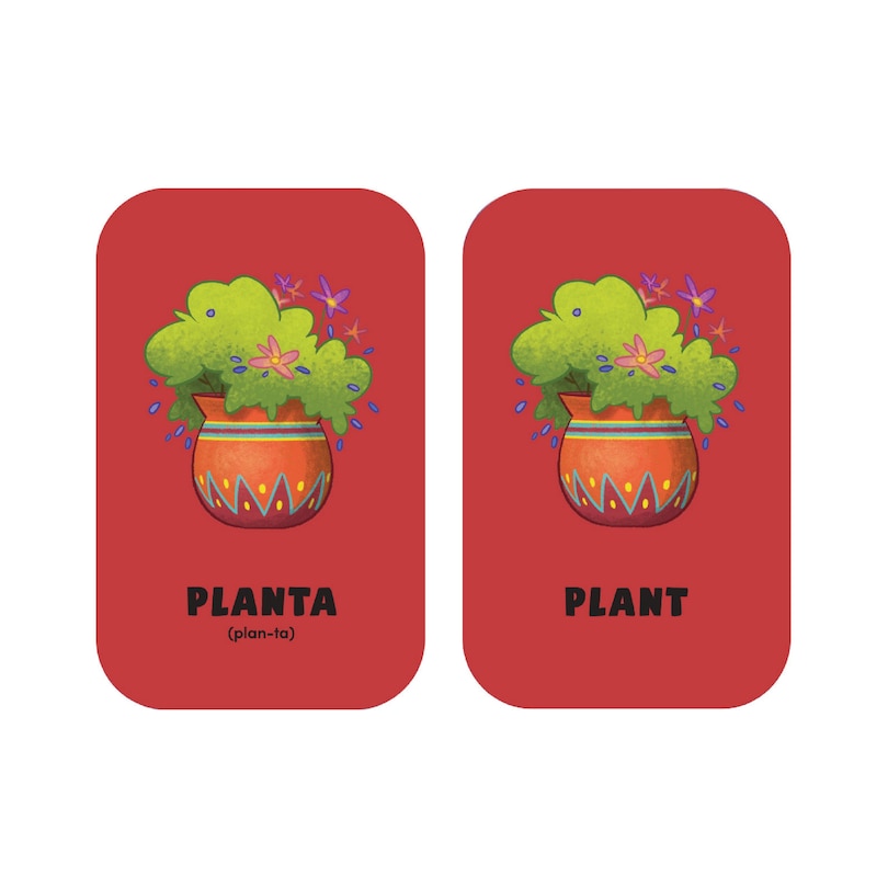 Aper&ccedil;u du contenu 2_Rosie's Rules: Minilingo Spanish / English Flashcards - Basic Words