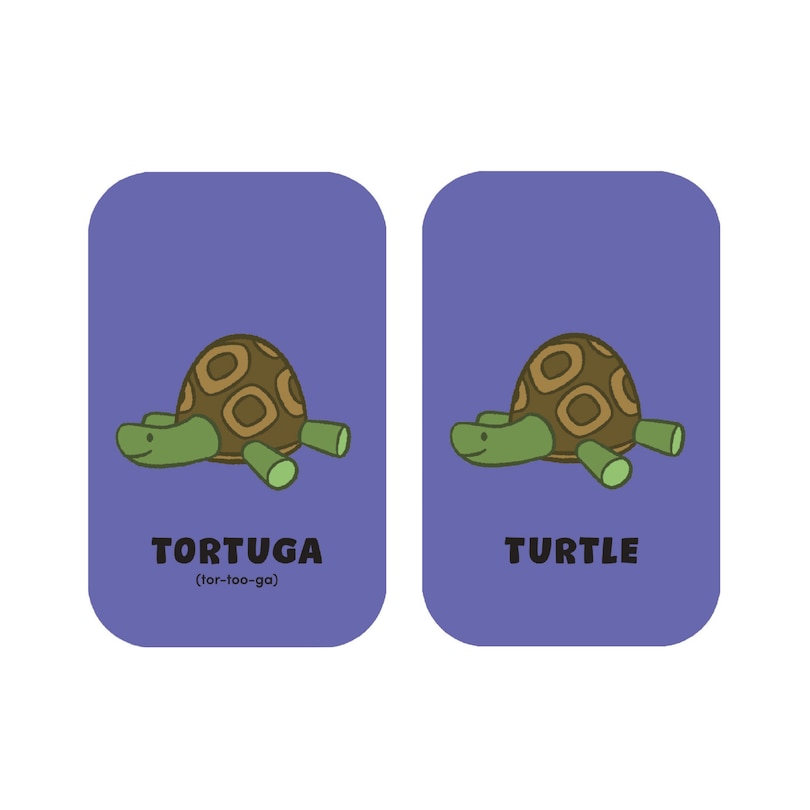 Aper&ccedil;u du contenu 3_Rosie's Rules: Minilingo Spanish / English Flashcards - Basic Words