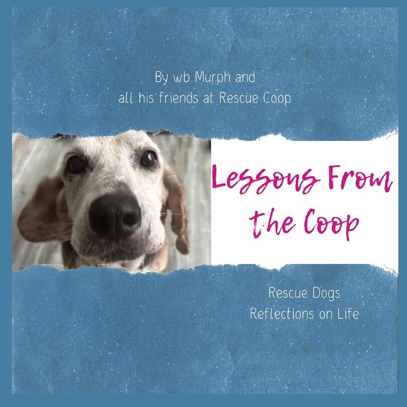 Front cover_Lessons from the Coop