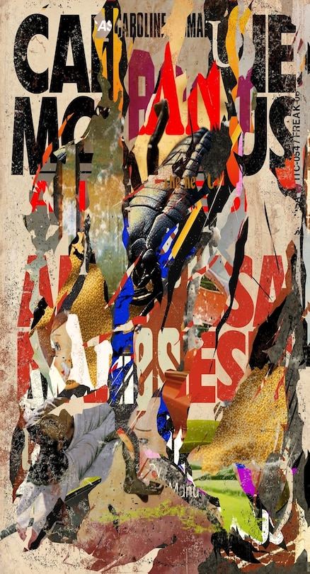 Couverture_Anamnesis