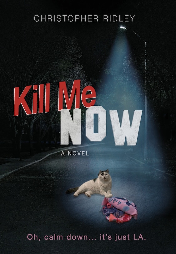 Front cover_Kill Me Now