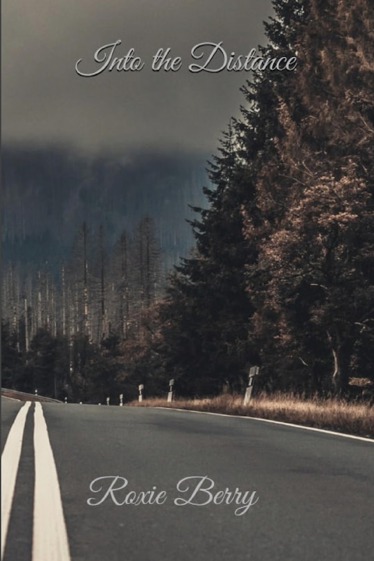 Couverture_Into The Distance