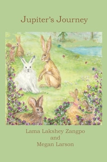 Front cover_Jupiter's Journey