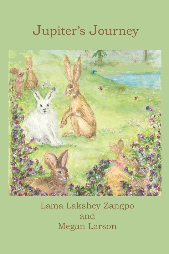 Front cover_Jupiter's Journey