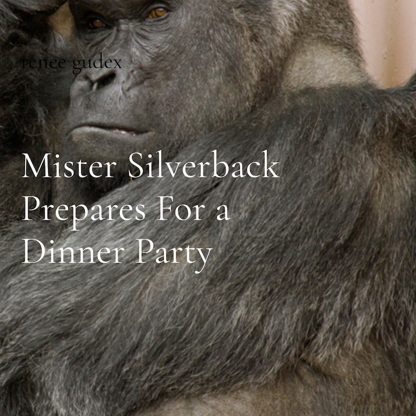 Front cover_Mister Silverback Prepares For a Dinner Party