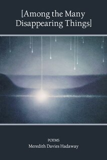Front cover_[Among the Many Disappearing Things]