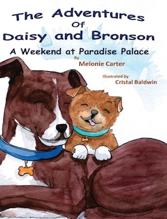 Couverture_The Adventures of Daisy and Bronson