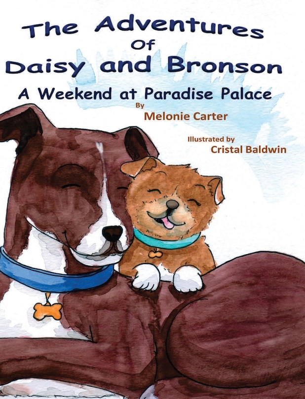 Couverture_The Adventures of Daisy and Bronson